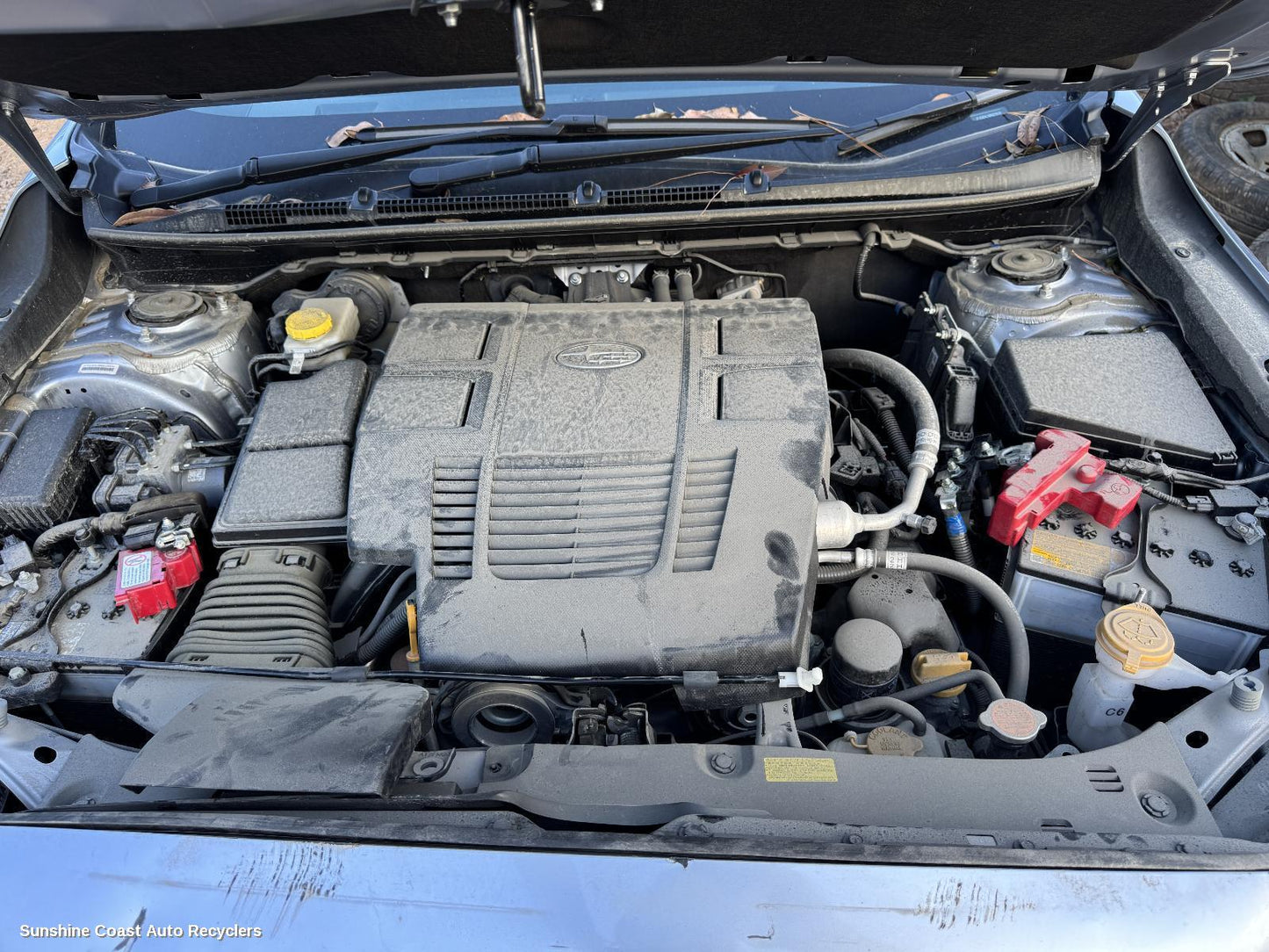 2024 Subaru Crosstrek Carpet