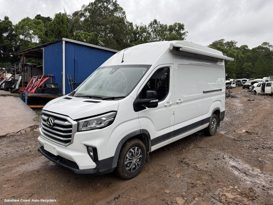 2021 Ldv Deliver 9 Door Trim