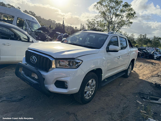 2020 Ldv T60 Wheel Mag