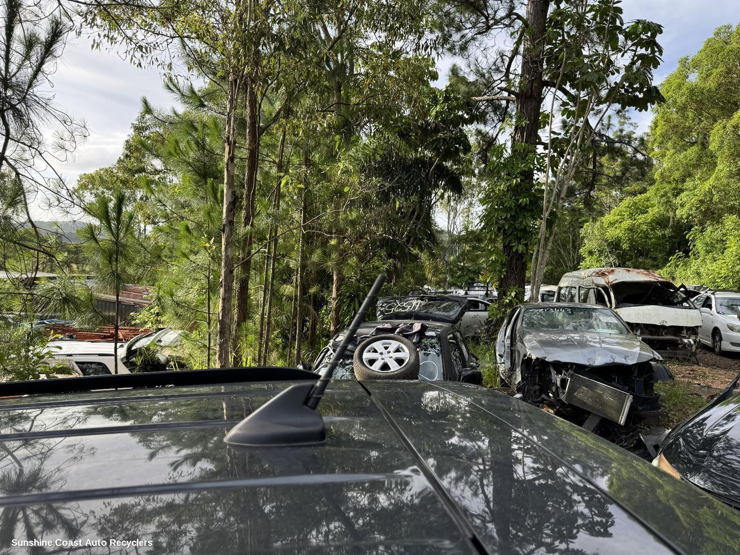 2024 Ford Everest Antenna